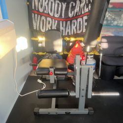 Leg Curl / Extension Machine 