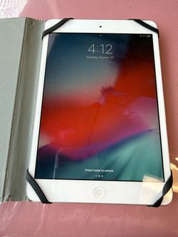 iPad mini 2 with case