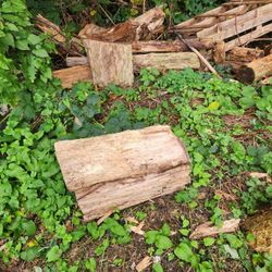 Firewood