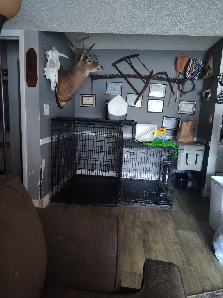 Two Like New Kennels 