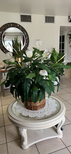 Planta Artificial