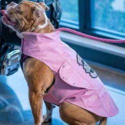 Biker Dog Pink jacket (XL) with tags
