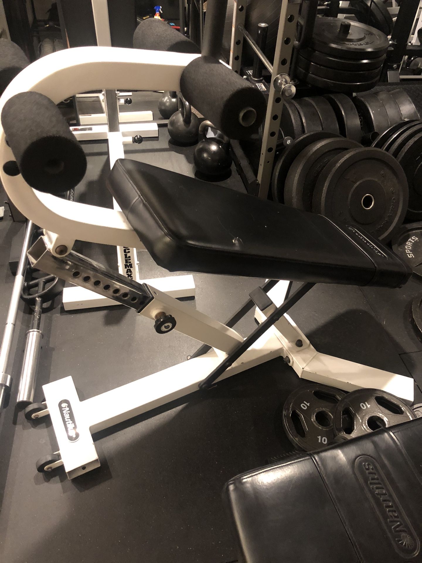 Nautilus Decline Adjustable Bench