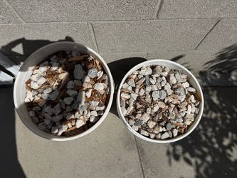 Free Two 5-Gallon Buckets of white rocks