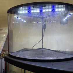 Top Fin 10-gallon corner or angled aquarium. 