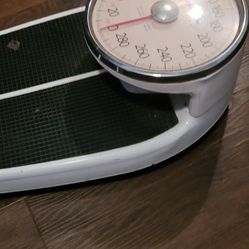 Healthometer Weigh Scale 