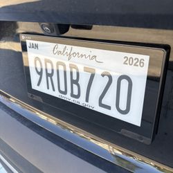 Reviver License Plate 