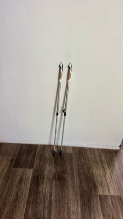 Hiking sticks