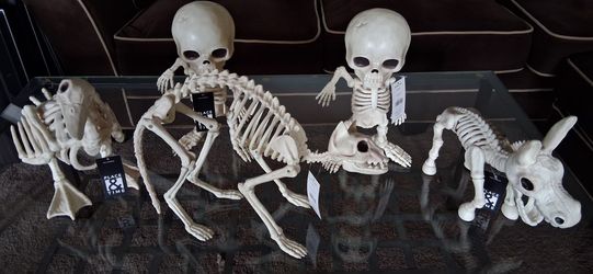 Halloween Skeleton animals