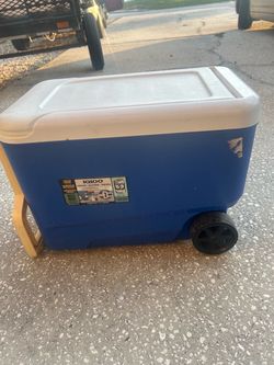 Cooler