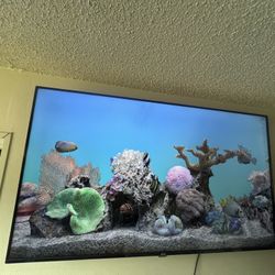 75in Roku Smart Tv  200$ Comes With Wall Mount Like New Have Hade It For One Year 