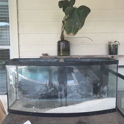 Aquarium