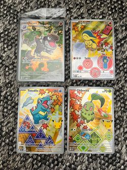 First Partners Chikorita, Totodile, Cyndiquil and Tyrunt