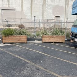 2 Large Planters $150 EACH