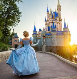 Disney Park H opper