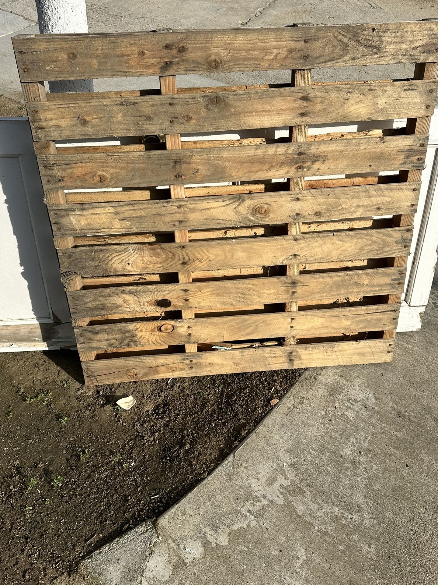 Wood Pellet, 4” In Between Size