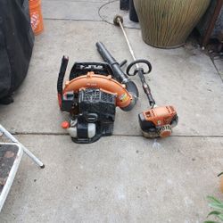 Echo  Blewer Guiro Trabajan Bien Los Dos 350