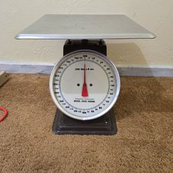 Mechanical platform scale