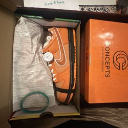 Nike Sb Orange Lobster Special Box Sz 12 