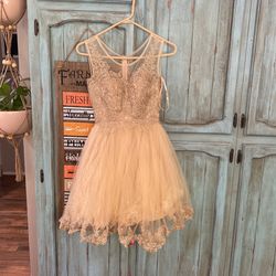Quinceñera Dress/sweet 16