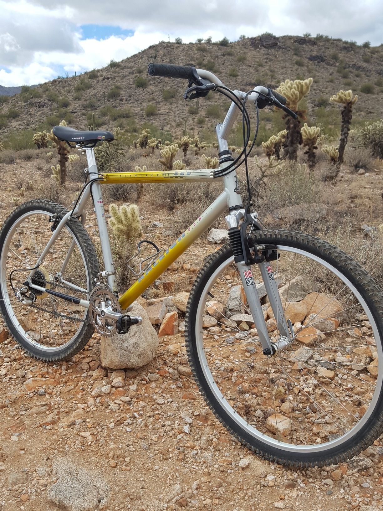 *RALEIGH MT300*