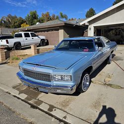Testing the water 1976 caprice