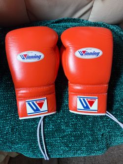Winning boxing gloves
