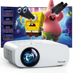 Video Projector Outdoor Camping Movie Night Screen Included