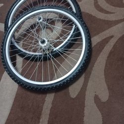Mountain Bike Rims & Tires