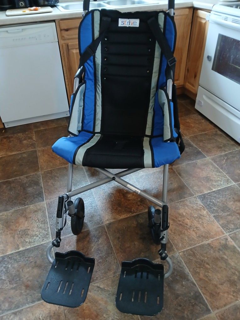 Strive Adapted special Needs to stroller.