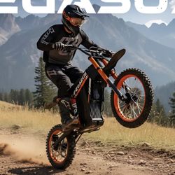 Brand New Tuttio / Pegasus Electric Dirt Bike Ebike 3000w