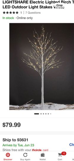 New indoor or outdoor decorative trees.