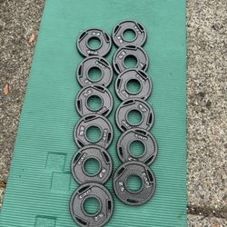 2.5lbs plates ($3.50/each or $40 for all 12)