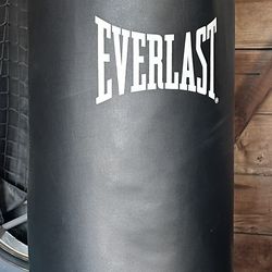 100# Everlast Punching Bag