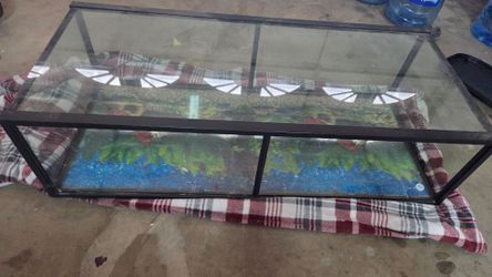 55 Gallon Fish Tank