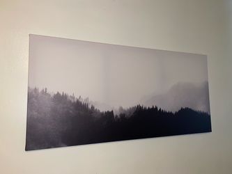 3 forest woods pictures