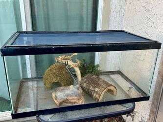 40 Gal Reptile Terrarium with Decor bundle