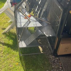 bird cage