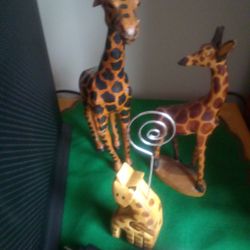 🦒 Giraffe Collection 