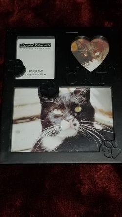 'I ♡ My Cat' Photo collage Frame (holds 3 photos)