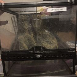 tank
