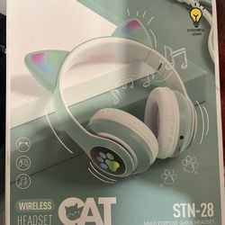 Wireless Car Headphones With Light-up On Headphone And Ears