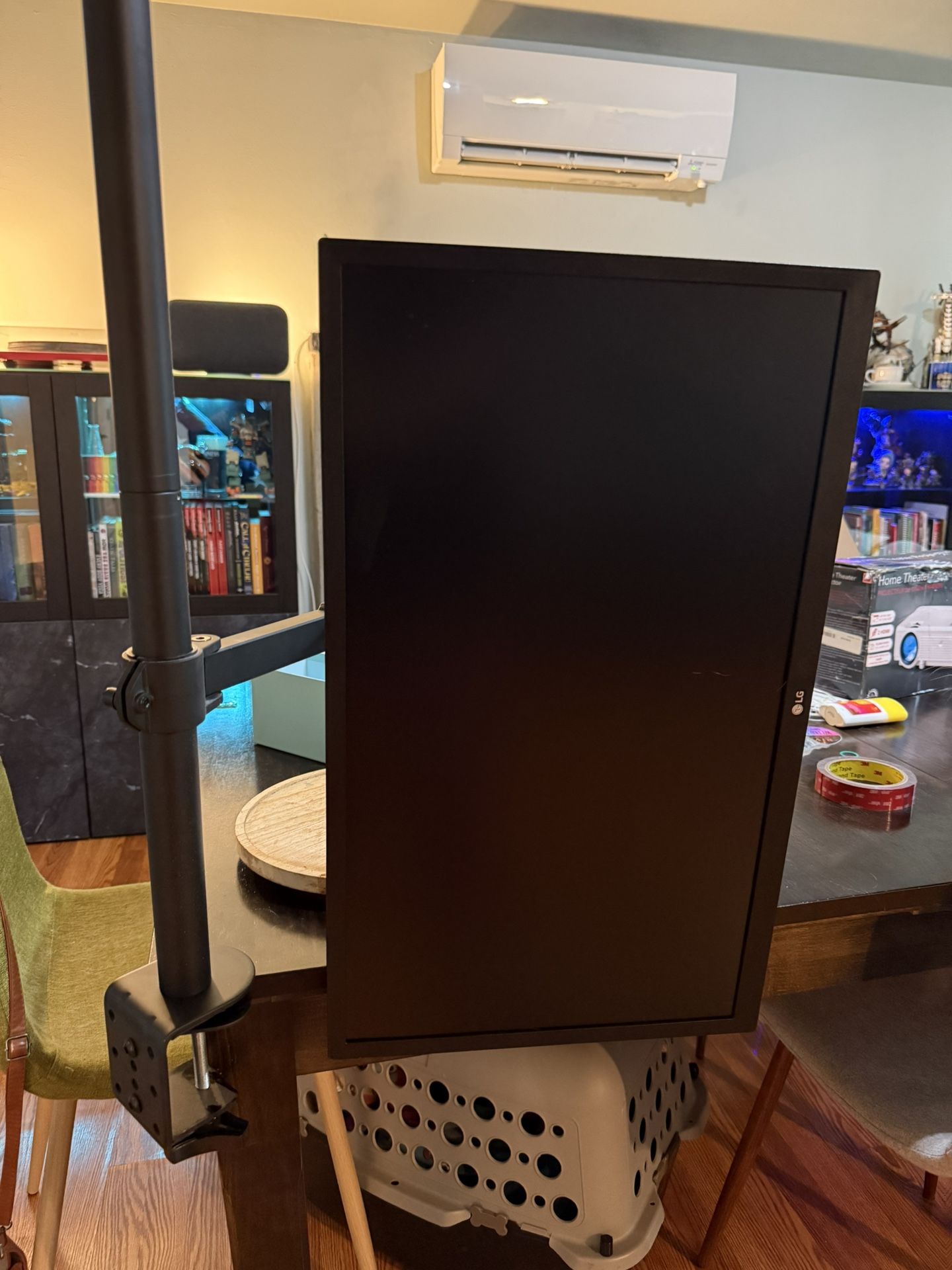 LG Monitor And Adjustable Arm