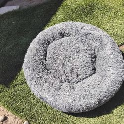 Large Dog Bed