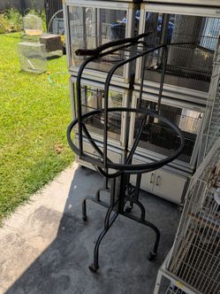 Bird stand
