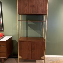 Vintage MCM Tall Cabinet