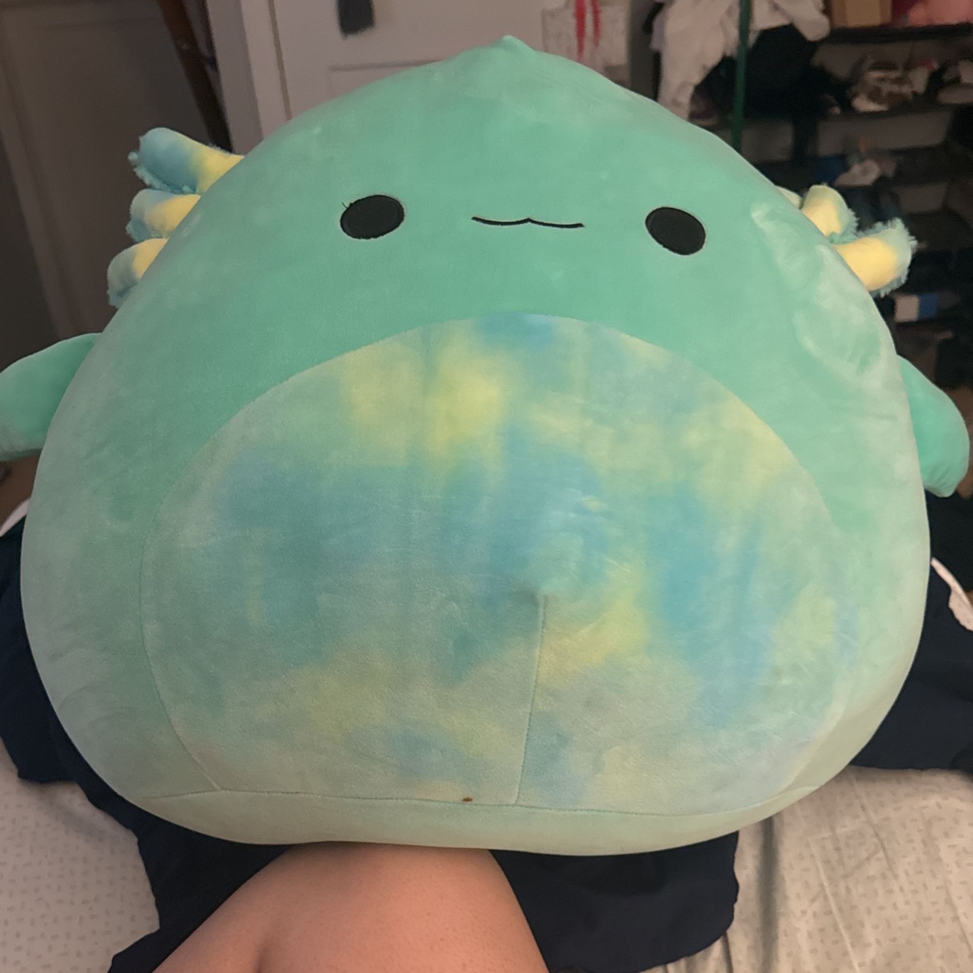 Squishmallow 