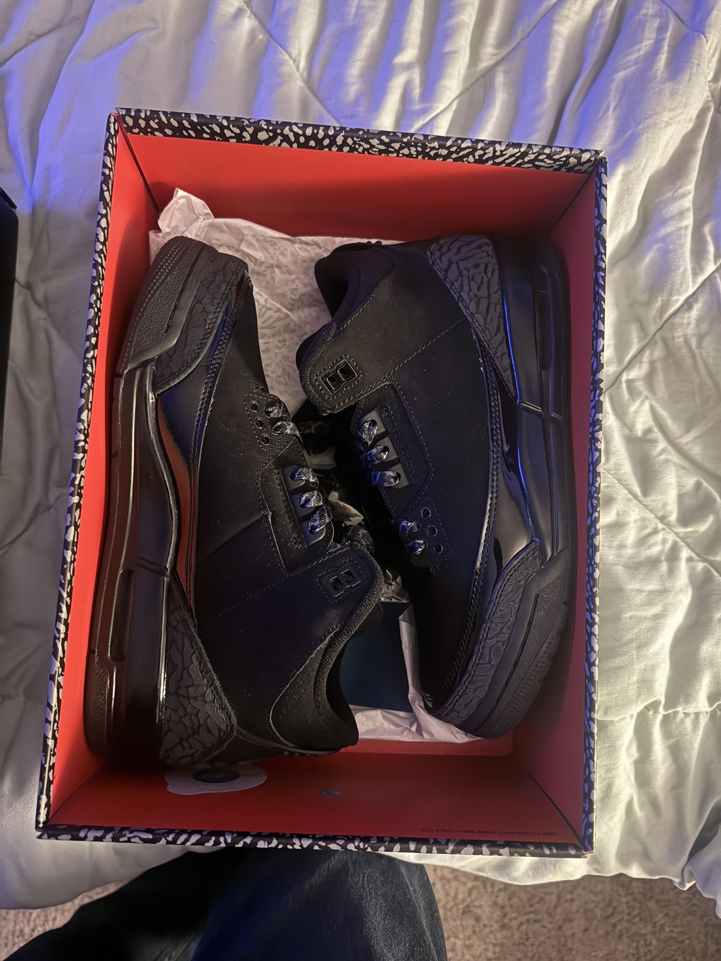 Air Jordan 3 Black Cat