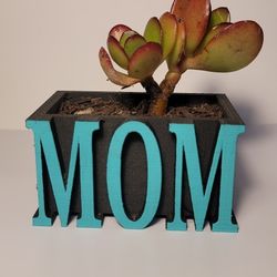 Cute 3d Printed Succulent Planter