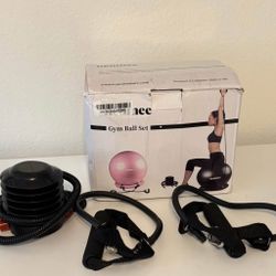 Pink Neumee Gym Ball Set With Pump And Resistance Bands